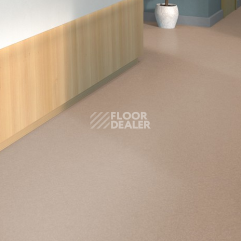 2614 фото 2 | FLOORDEALER